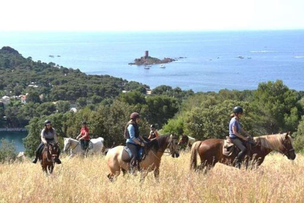 Saint-Raphaël Dans Un Cadre D'Exception, Vue Mer Panoramique A Agay Cote D'Azur, Village Vacances Cap Esterel, T2 Avec Jardin, Golf, Climatisation, Wifi, 5 Piscines מראה חיצוני תמונה