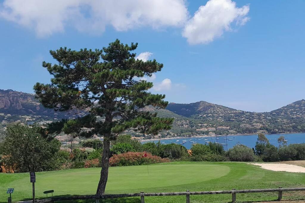 Saint-Raphaël Dans Un Cadre D'Exception, Vue Mer Panoramique A Agay Cote D'Azur, Village Vacances Cap Esterel, T2 Avec Jardin, Golf, Climatisation, Wifi, 5 Piscines מראה חיצוני תמונה