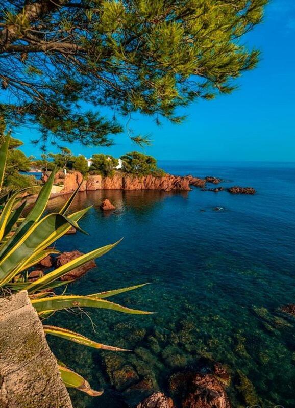 Saint-Raphaël Dans Un Cadre D'Exception, Vue Mer Panoramique A Agay Cote D'Azur, Village Vacances Cap Esterel, T2 Avec Jardin, Golf, Climatisation, Wifi, 5 Piscines מראה חיצוני תמונה